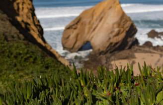 Hygge Living Santa Cruz Beachfront - Foto 16