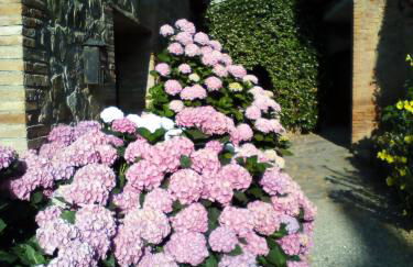 Poggio Al Vento - Foto 6