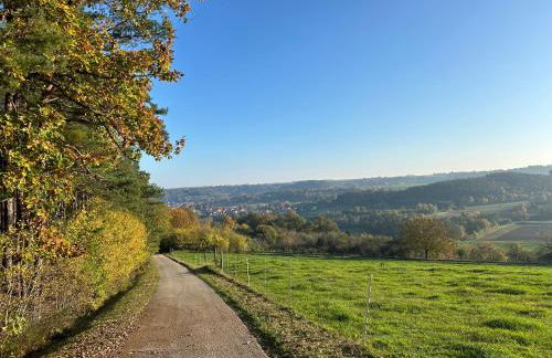 Schöne, ruhig gelegene Wohnung - Foto 11
