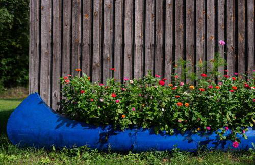 Przystanek Wieś - Foto 40