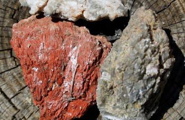 Las Casas de la Vega - Foto 33