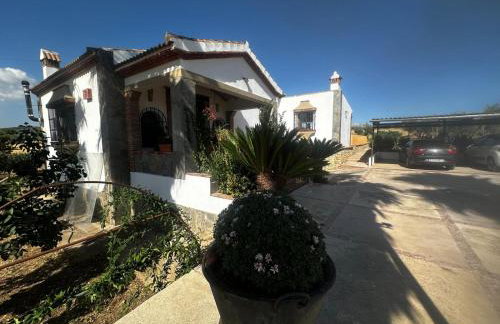 La chumbera - Foto 39