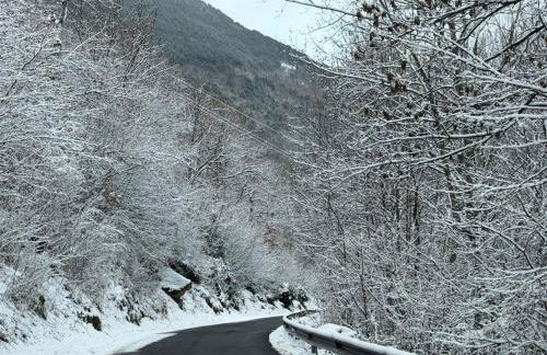 Ático turistico en Durro - La Vall de Boí - Foto 38