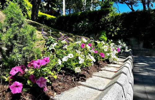 Villa Greif - Foto 64