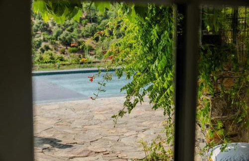 Mas provençal avec piscine chauffée, tennis, pétanque, vue mer, 20 min St Tropez - Foto 74