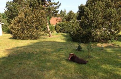 "Ferien Nord-Nordost" Wooster Teerofen "Am Walde" Ferienhaus Komfort - Foto 10