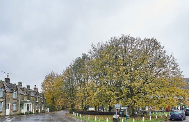 Host Stay Rosella Cottage - Foto 50