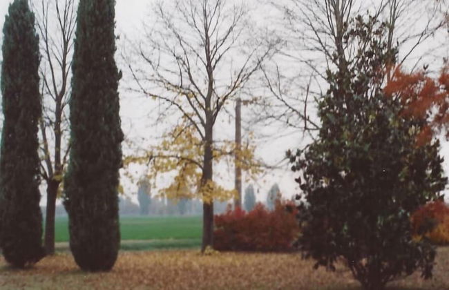 Alla Cedrara agriturismo - Foto 25