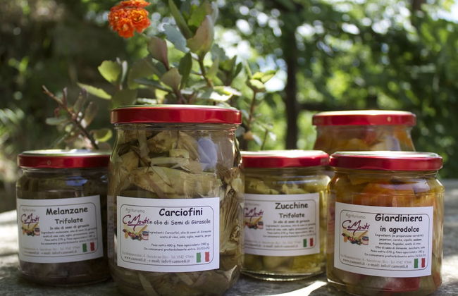 Rural Retreat in Sassoleone - Foto 16