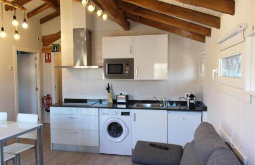 Apartamentos Elizondo Center - Foto 19