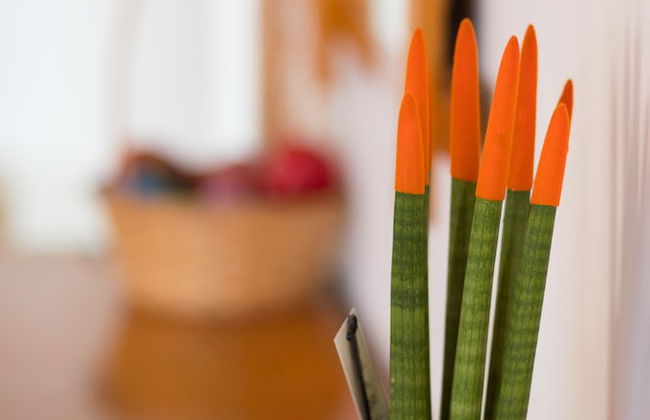 Megris Country Houses - Foto 18