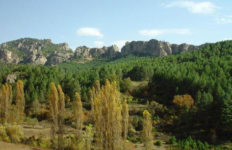 Casa El Volaero - Foto 41