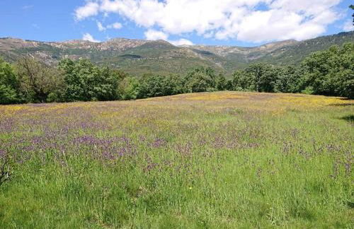 Casa Pozo Tarama - Foto 32