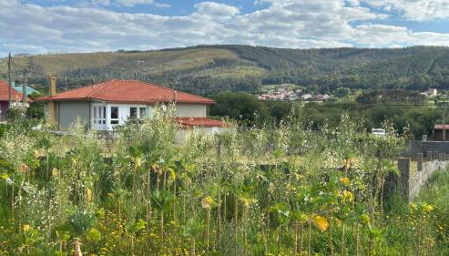 Casa Frutales Escaselas - Foto 2