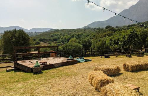 Il Rifugio del Contadino Country House - Photo 18