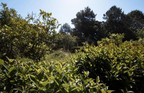 Le Tre Sorelle - Foto 46