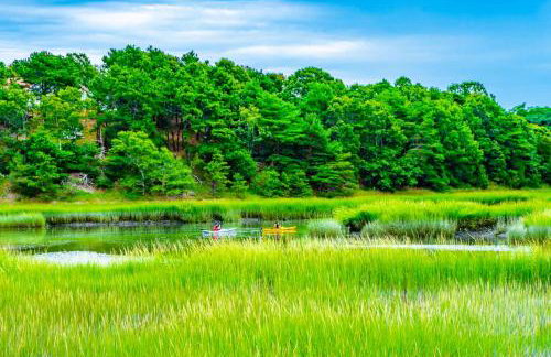 Beachfront with Stunning Views - Foto 37