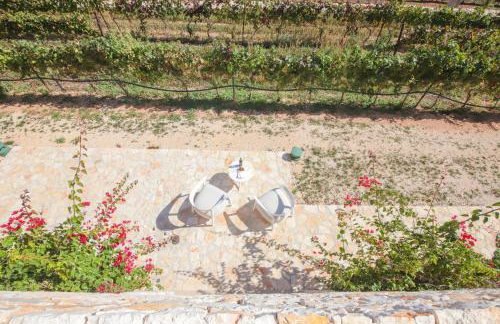 TD Tenuta Donna Madia Sea View Pool Over Vineyard - Foto 87