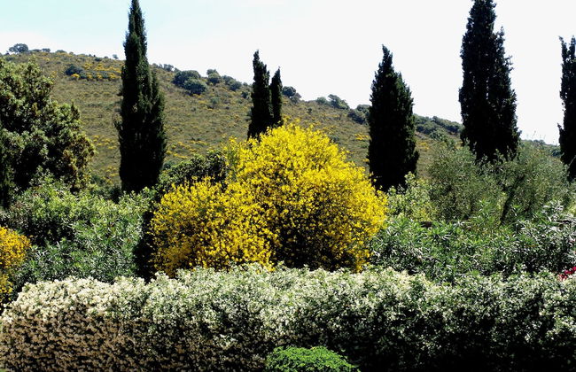 Agriturismo Fattoria Il Casalone - Foto 1