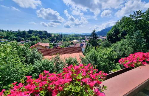 Haus Hindelang - 2 FeWos mit Zugspitzblick, inkl Königscard, gratis Parken & WLAN, Self Check-In, 5 Minuten ins Zentrum - Foto 15