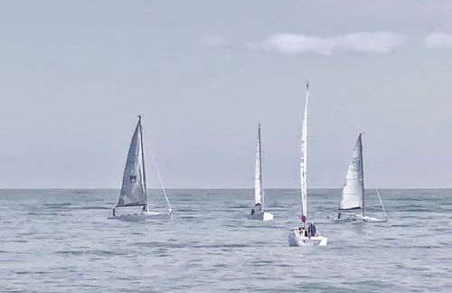 LLUISALBERT - Foto 19