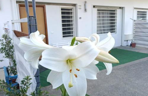 Deliziosa House - Schiavonea - Foto 24