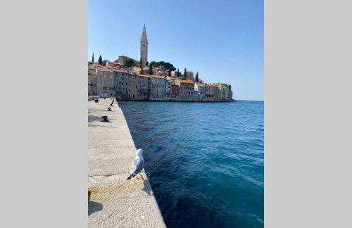 Villa Stanzietta Novigrad for 10 at Olive orchard - Foto 64