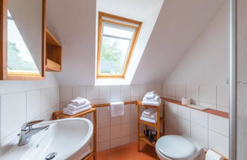 Sonnenblume_DH - Foto 19