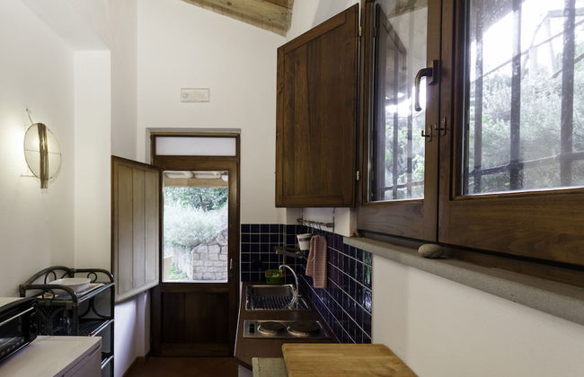 Agricontura - Foto 28