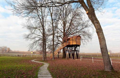 Agriturismo Relais Tenuta il Cigno - Foto 135