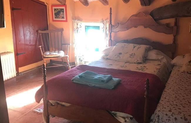 El Olivo de Sansol - Foto 4