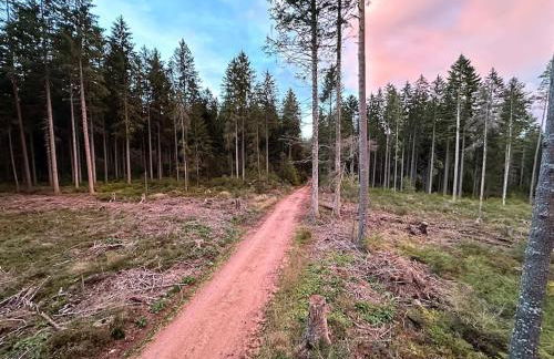 Ferienhaus am Sommerberg - Photo 23