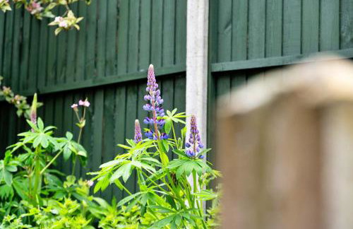 Finest Retreats - The Grove Annexe - Foto 19