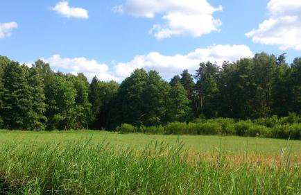 Dworek Świdwie, Górny Apartament & Harcówka - Foto 50