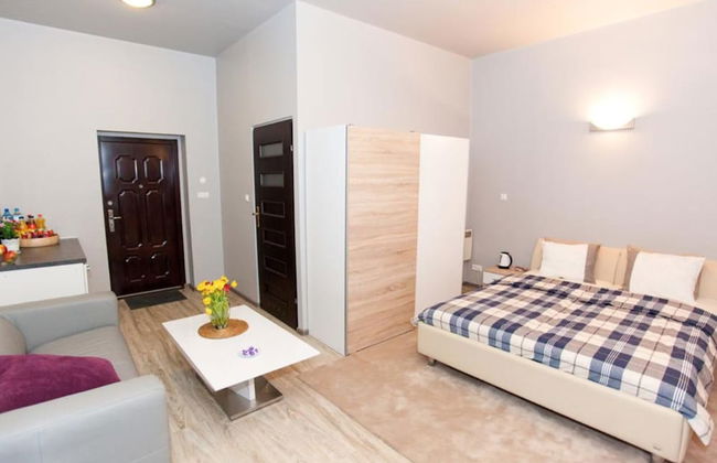 Studio Apartament Centrum Katowice - Foto 23