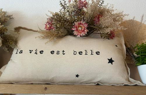 Petit cocon proche de Stanislas - Foto 42