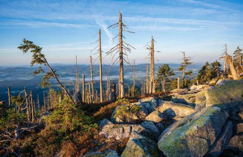 F&F Apartment - Foto 54