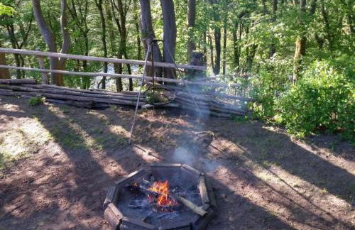 Apartment in Zendscheid mit Offenem Kamin by Interhome - Foto 27