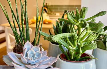 Villa Tité - Foto 20