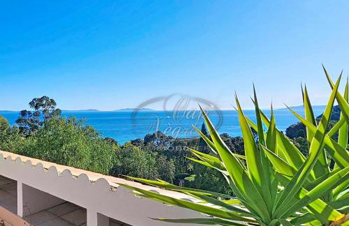 Appartement T2 pour 4 personnes avec terrasse et vue mer proche de la plage du Rayol - Foto 3