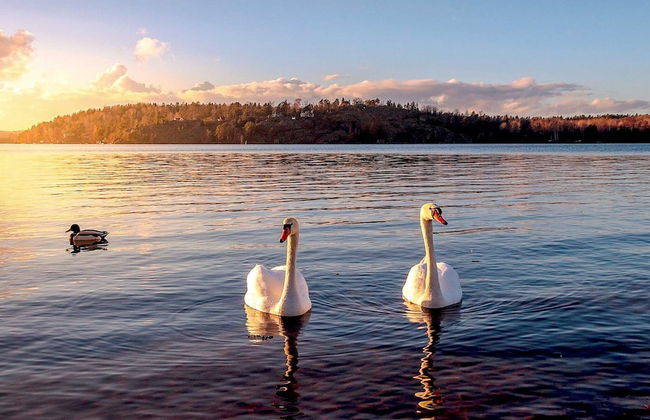 6 Person Holiday Home in Ekero-by Traum - Photo 29