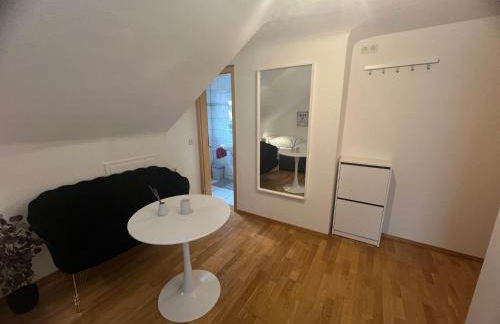 Einzelzimmer mit privatem Bad nähe Ulmer Donautal - ideal für Geschäftsreisen - Foto 8