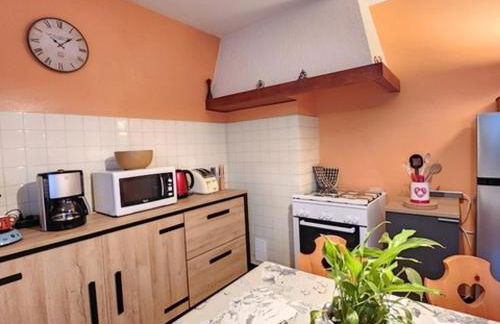 Grand appartement 4 chambres à Abondance avec WIFI et parking - FR-1-692-112 - Photo 6