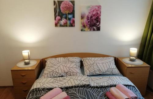 APARTMAN NENA - Foto 6