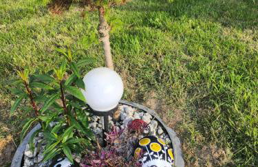 Domki Letniskowe U Żuni - Foto 38