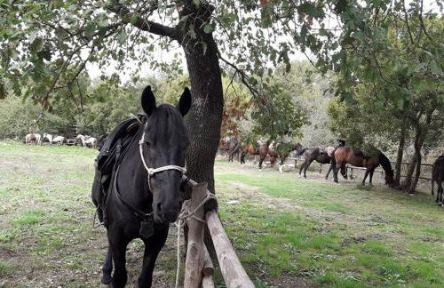 Family apartment Stella Marina - Foto 64