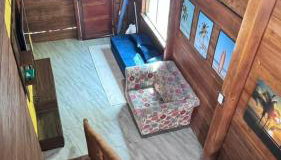 Chalé de Madeira, a 60m do mar em condomínio - Foto 3