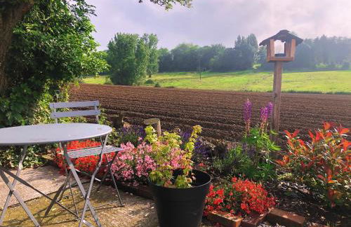 Au coin du loup, monts de Flandres, Zwarteberg - Foto 24