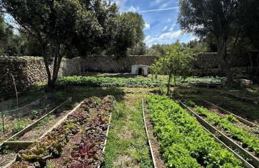 Agroturismo Rafal Rubí - Foto 44