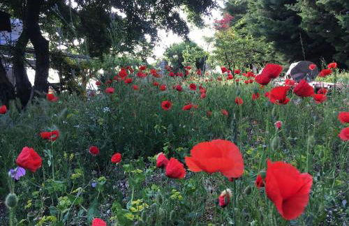 LA CASETTA SULLE NUVOLE PETRA - Foto 16